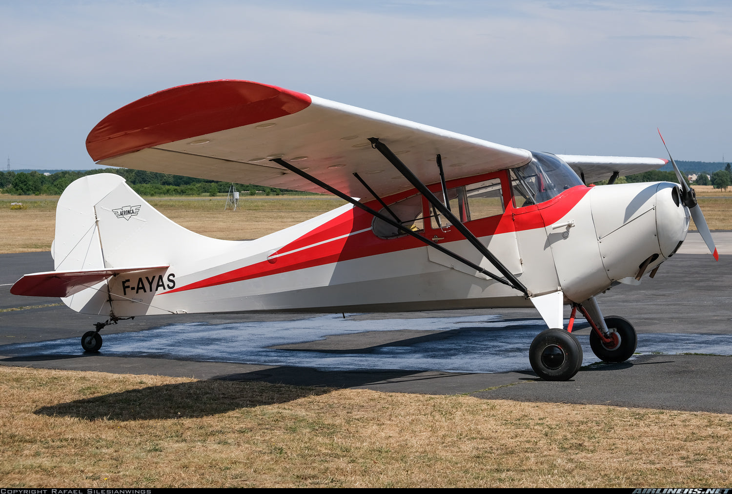 Photo Credit: airliners.net - Rafael Silesianwings