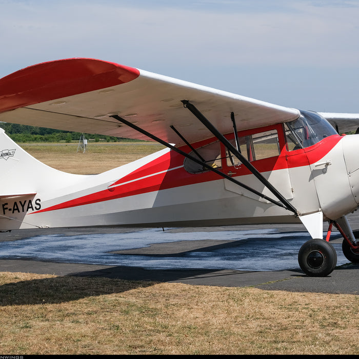 Photo Credit: airliners.net - Rafael Silesianwings